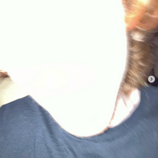 HowieRightNowie