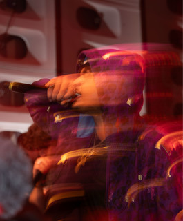 Mitchii