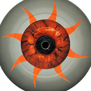Paragonescia Photo