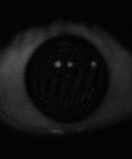 mister misty-eyed