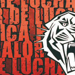 EL VALOR DE LUCHAR
