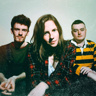 Trampled Daisy