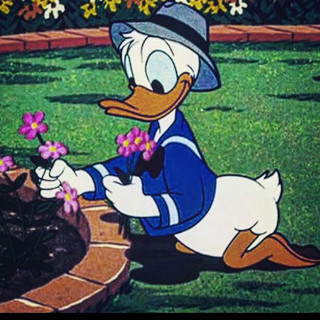 Donald