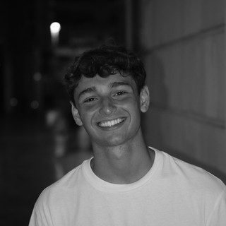 Dino
