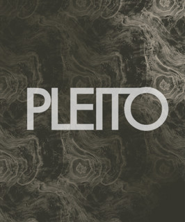Pleito