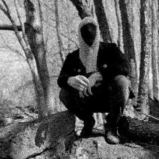 Hermit Knight Photo