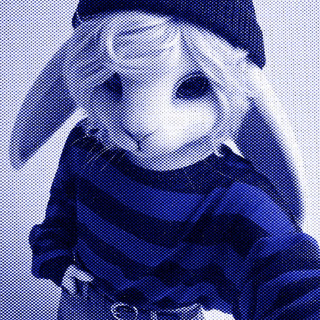 Constance The Bunny