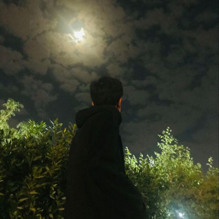 The Lost Rumi