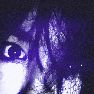 kaisei