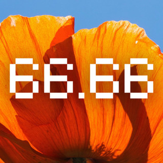 66.66