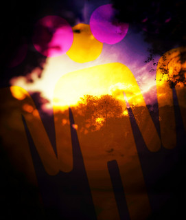 YAXIS