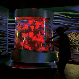 Space Shark gallery image 1