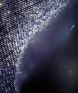 NxTitle