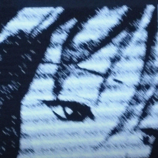 Mista Pita Photo
