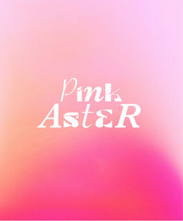 Pink Aster