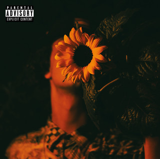Drowning the Virgin Silence Photo
