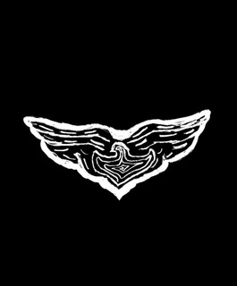 TYBIRD