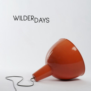 Wilder Days