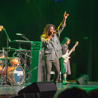 The Sovereign Artist poster