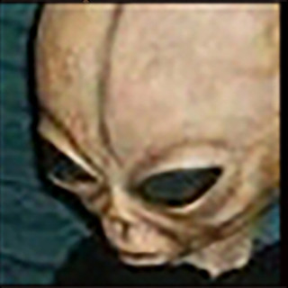 Ankhabar artist photo