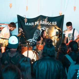 Mar de Árboles poster