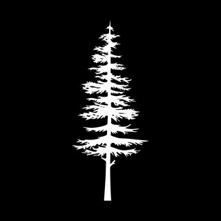Pine Tree Cathedral