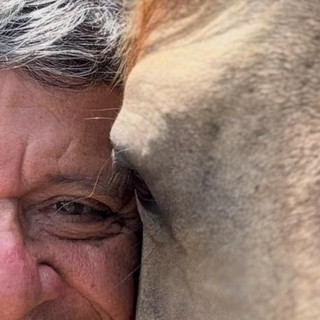 Cholo Valderrama poster