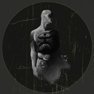 FORTEEN cover