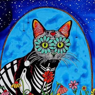 Sugar Cat