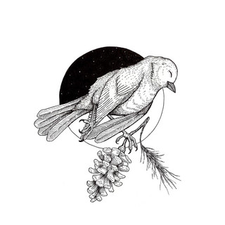 Dead Birds
