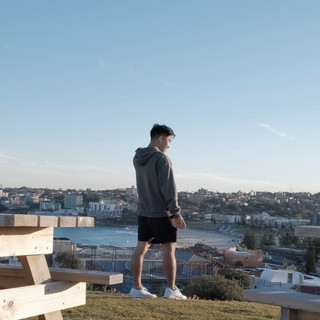 xylin poster