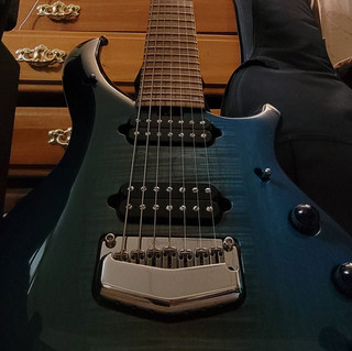 Leiss