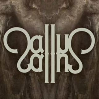 Sallus