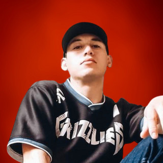 Gallos Mx