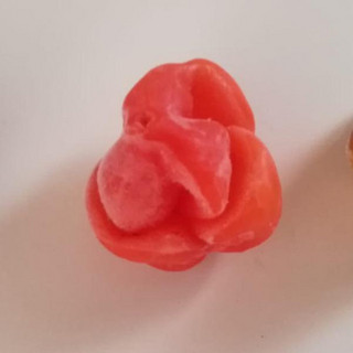 Capsicum