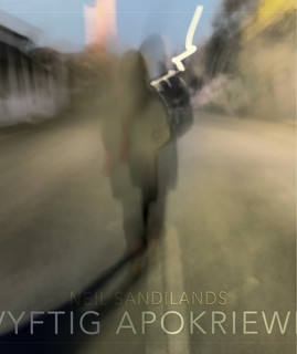 Neil Sandilands artist photo