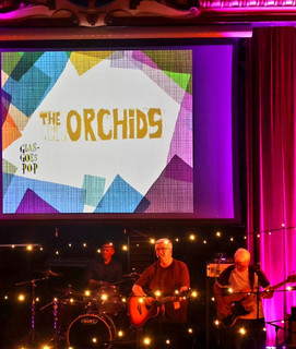 The Orchids poster