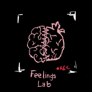 Feelings Lab
