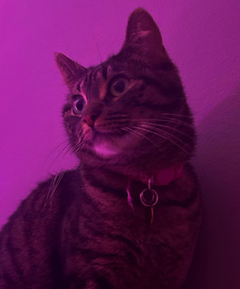 Lil Keke