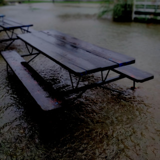 Fornever artist photo