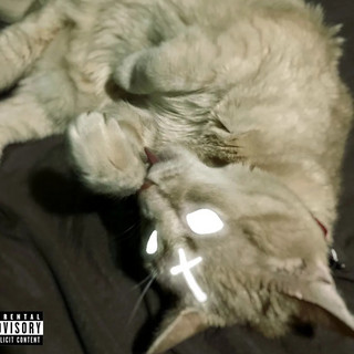 BR0K3NW0R1D