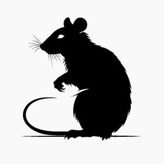 Rats