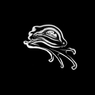 Froglegs Photo