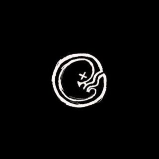 Embryon