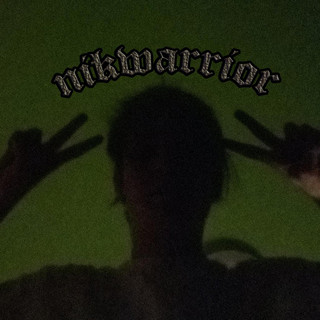 NikWarrior