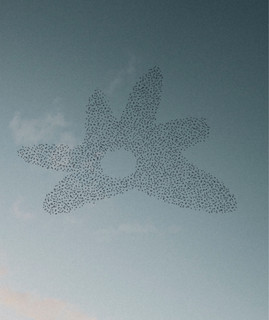 Samuel Winder poster