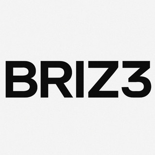 BRIZ3