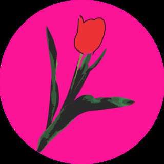 TERO