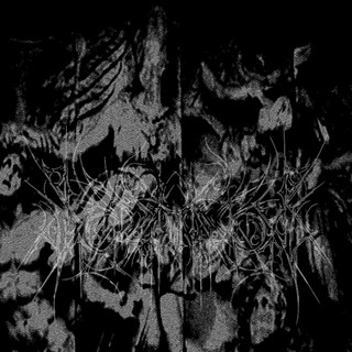 Schzvoid