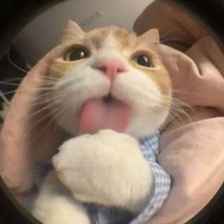 ToastyyDE